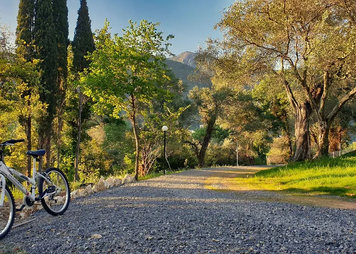 Hotel Yannis Corfu Ipsos