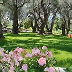 Hotel Yannis Corfu 3*