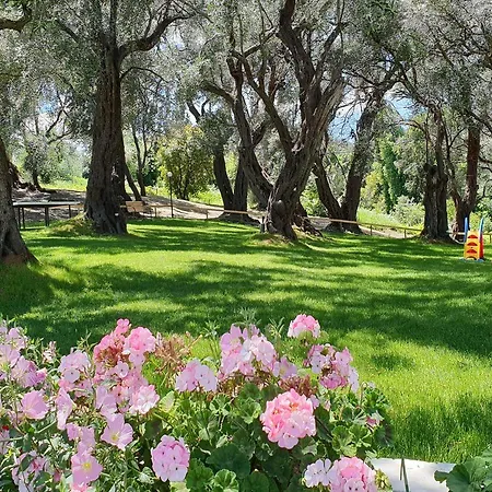 Hotel Yannis Corfu 3*