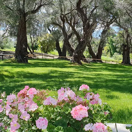 Yannis Corfu 3* Ýpsos