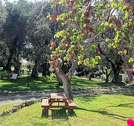 Yannis Corfu 3* Ύψος