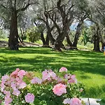 Hotel Yannis Corfu