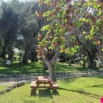 Yannis Corfu Ipsos