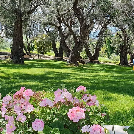 Hotel Yannis Corfu
